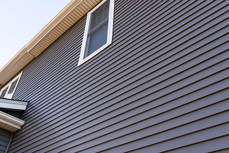 Home Exterior with Vinyl Siding