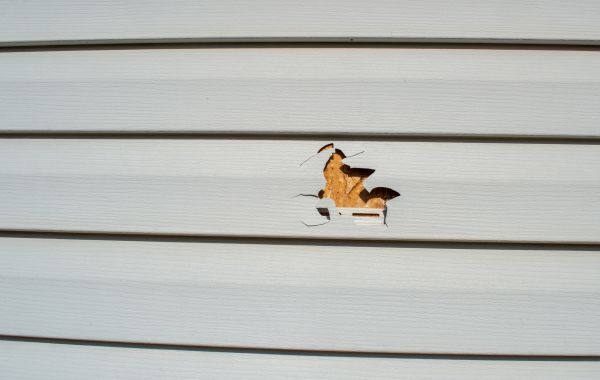 Siding Hole Repair in Fort Worth